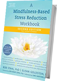 A Mindfulness-Based Stress Reduction Workbook book cover