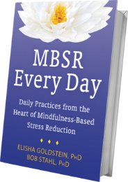 MBSR Every Day book cover