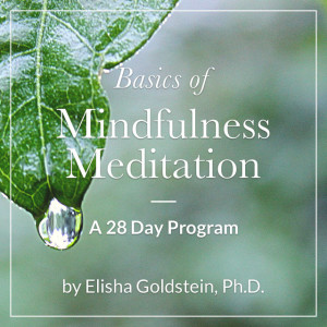 Basics of Mindfulness Meditation: A 28 Day Program